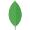 MongoDB