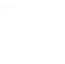 AI Icon